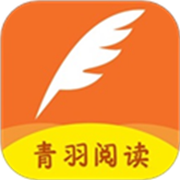 桃花视频APP应用